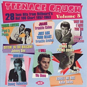 Teenage Crush: Volume 5