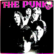 The Punks