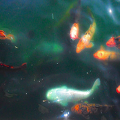 TODOS USTEDES CONTRA MÍ SOLO