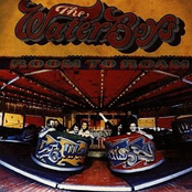Sunny Sailor Boy by The Waterboys