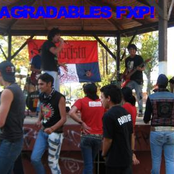 Desagradables Fxp