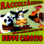 Raccolta agricola