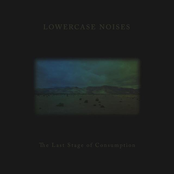 The Last Stage of Consumption