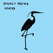 Newcomer by Stanley Brinks