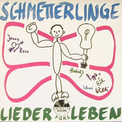 Schmetterband by Schmetterlinge