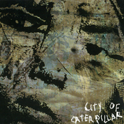 City of Caterpillar: City of Caterpillar