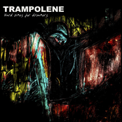 Hard Times for Dreamers