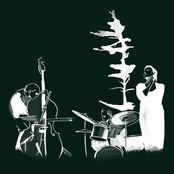 Lone Jack Pine (Live)