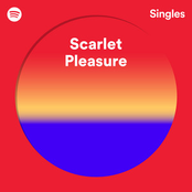 Spotify Singles