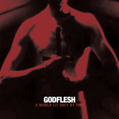 Godflesh: A World Lit Only By Fire