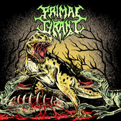 Ascending the Food Chain