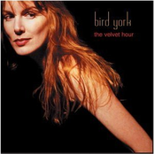 Come Be With Me by Bird York