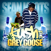 Kush And Grey Goose