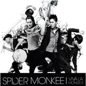 spider monkee