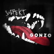 Gonzo