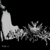 PXK II