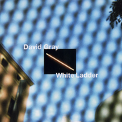 David Gray: White Ladder