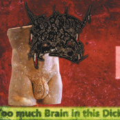 Too much brain in this dick