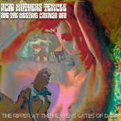 Chinese Flying Saucer by Acid Mothers Temple & The Melting Paraiso U.f.o.