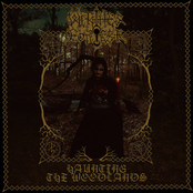 Haunting The Woodlands