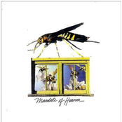 The King Has No Sting