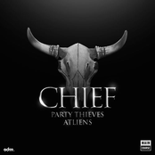 Party Thieves: Chief