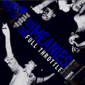 Full Throttle Collectors Edition