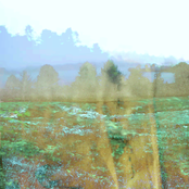 Laura (Live at Six Months)