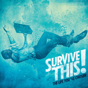 The Story Falls by Survive This!