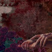 If I Die First - Burying a Parent