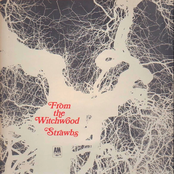 The Strawbs: From The Witchwood