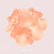 Olše & Факел (Split)