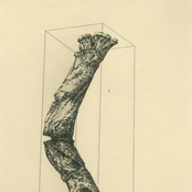 Secret Bathroom Demo