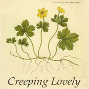Creeping Lovely