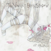 Stupid Intruders by The Vincent Black Shadow