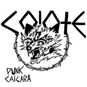Punk Caiçara