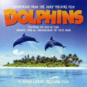 Dolphins Of The World by Sting