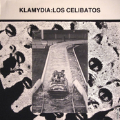 Los Celibatos Album Picture