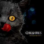 Айлурофобия