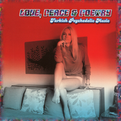 Love, Peace & Poetry - Turkish Psychedelic Music