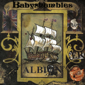 Albion (single Version) by Babyshambles