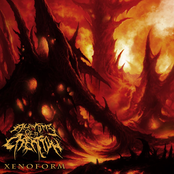 Xenoform