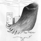 The Perpetual, Transitional Season