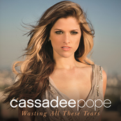 Wasting All These Tears by Cassadee Pope