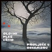Proljeće u Decembru
