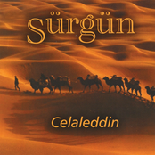 Sürgün