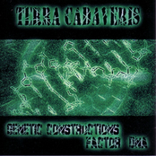 Genetic Constructions Factor DNA