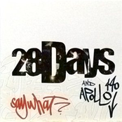 28 days/apollo 440