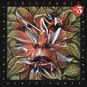 sonic/panic vol. 3