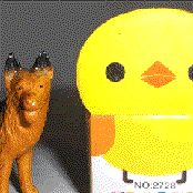 Birds (demo version & unreleased stuff)